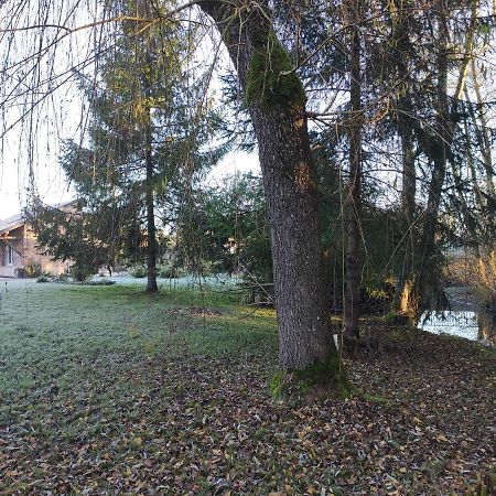 Gite Des Viviers -08400 Manre - De 1 A 2 Personnes Exterior photo